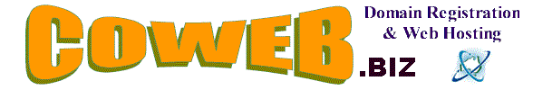 Coweb.biz Solutions Domain Registration and Web Hosting